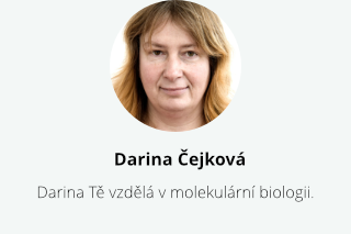 Alternativní text