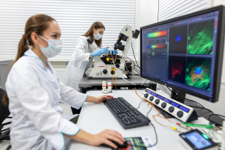 buněčné inženýrství II